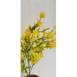 Tráva plast jetel, 6 barev