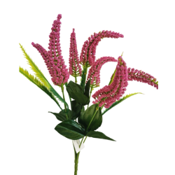 erica - vřes, 6 barev