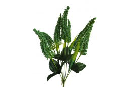 Vřes Erica tm. zelená 38 cm
