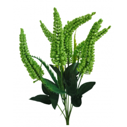 Vřes Erica sv. zelená 38 cm