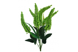 Vřes Erica sv. zelená 38 cm