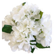 Hortenzie kytice, 6 barev