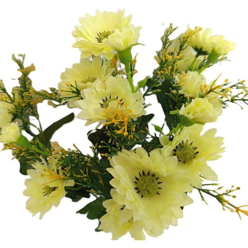 Gerbera kytička, 6 barev