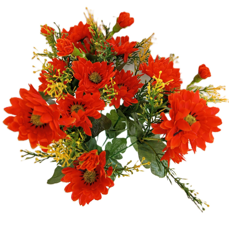 Gerbera kytička, 6 barev