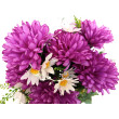 Chryzantéma kytice, 5 barev
