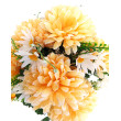 Chryzantéma kytice, 5 barev