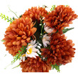 Chryzantéma kytice, 5 barev