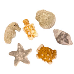 Mořské motivy 12 ks v sadě  5 cm