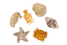 Mořské motivy 12 ks v sadě  5 cm