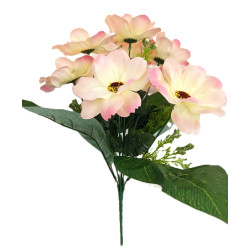 Cosmos Krásenka kytička krémovo-růžová 38 cm