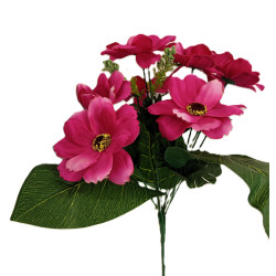 Cosmos Krásenka kytička beauty 38 cm