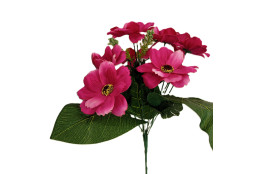 Cosmos Krásenka kytička beauty 38 cm