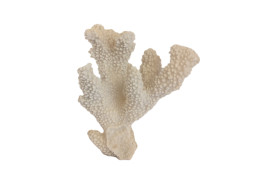 Korál umělý 17*14 cm