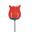 Tulipán červený na tyčce