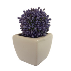 Česnek lila květ v květináči 9 cm
