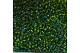 Rokajl 2,3mm zelený s listrem 514S