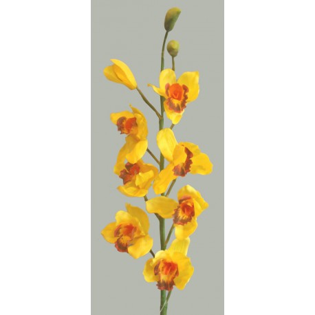 Orchidej