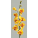 Orchidej Cybidium žlutá 90 cm
