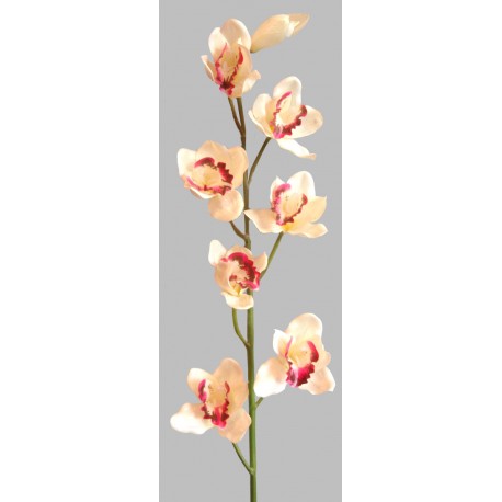 Orchidej
