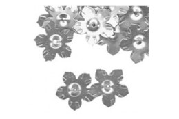 Flitry květina stříbrná 100 g