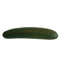 Okurka 17,4*3,6 cm