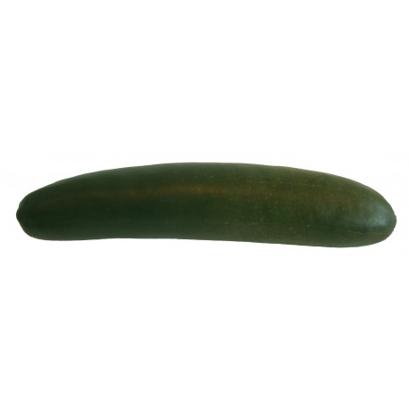 Okurka
