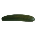 Okurka 17,4*3,6 cm