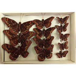 Motýl na klipsu 12 ks - 5,8,12 cm