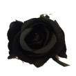 Růže černá vazbová 7*8 cm