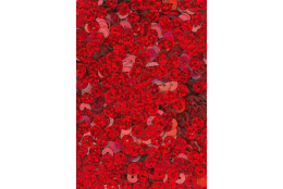 Flitry červené laser rovné 5 mm