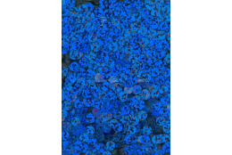 Flitry modré laser rovné 5 mm