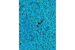 Flitry tyrkysové laser rovné 5 mm