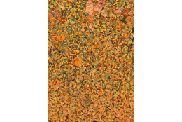 Flitry oranžové laser rovné 5 mm