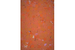 Flitry oranžové AB - iris rovné 5 mm