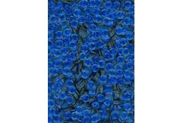 Flitry modré laser miska 5 mm