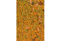 Flitry oranžové laser rovné 6 mm