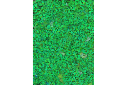 Flitry zelené laser rovné 6 mm