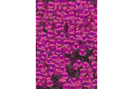 Flitry fialové fuchsie laser miska 6 mm