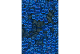 Flitry modré laser miska 6 mm