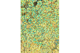 Flitry zlaté laser rovné 8 mm