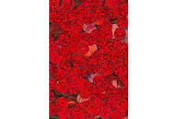 Flitry červené laser rovné 8 mm