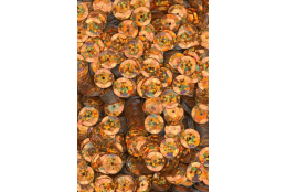 Flitry oranžové laser miska 8 mm