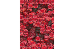 Flitry červené laser miska 8 mm