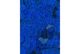 Flitry modré laser rovné 10 mm