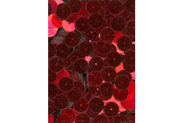 Flitry červené rovné 10 mm