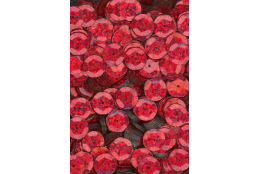 Flitry červené laser miska 10 mm