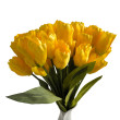 Kytice vázaná 3 ks tulipán žlutý 48 cm