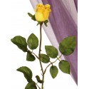 Růže žlutá 64 cm
