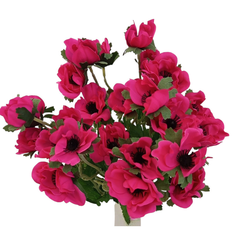 Anemonka beauty