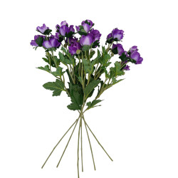 Sasanka Anemonka 6 ks fialová 62 cm
